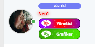 ds-adsiz-1424 ds-adsiz-1424