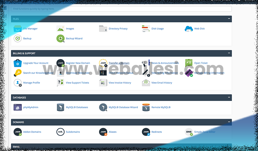 ds-cpanel-2039