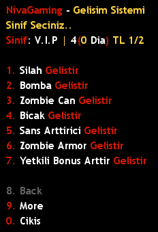 ds-gelistir1-1553