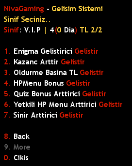 ds-gelistir2-1554