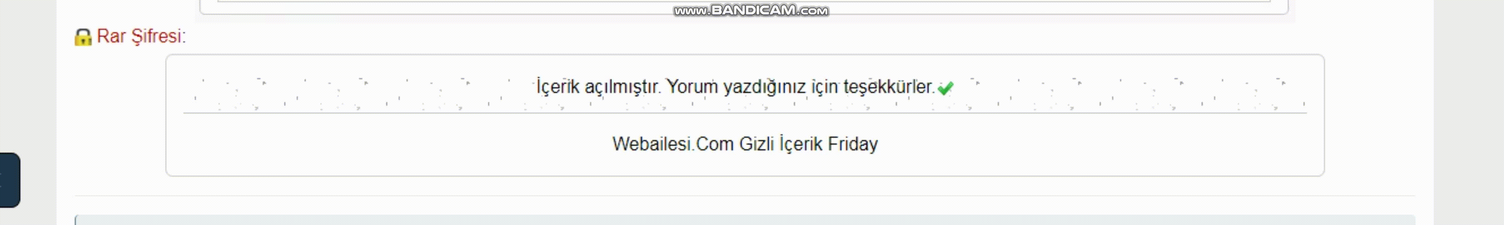 ds-mybb-gizli-icerik-open-2956