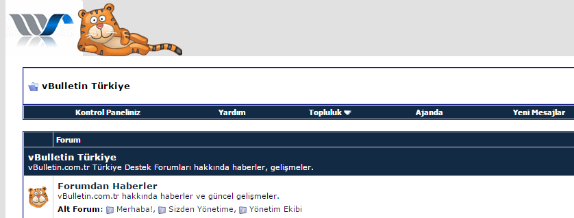 ds-webmaster-temasi-2843