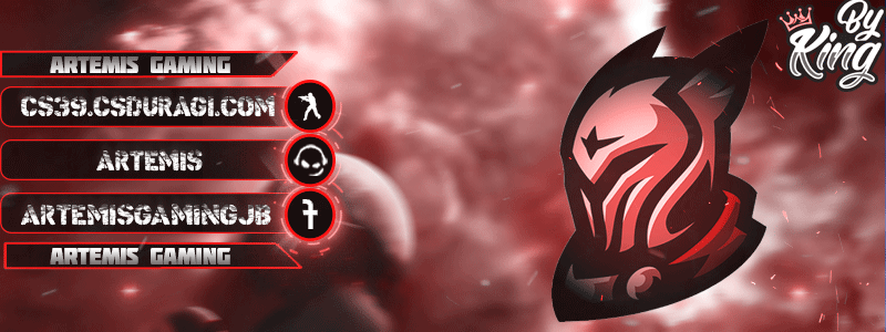 5ec968570767a_artemis_gaming