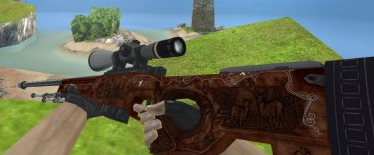 5ed1209be84ae_awp-hunting