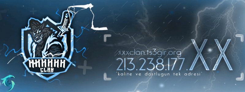 5eca5f96ebdc4_bluewolf-banner
