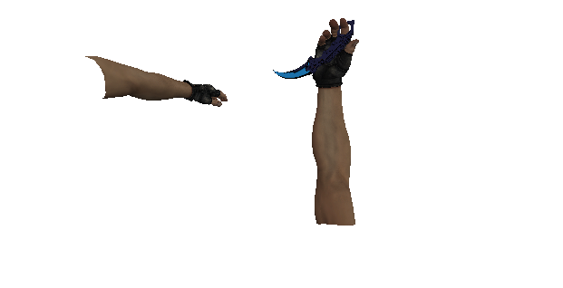 5f5c25e2e3a99_v_karambit2