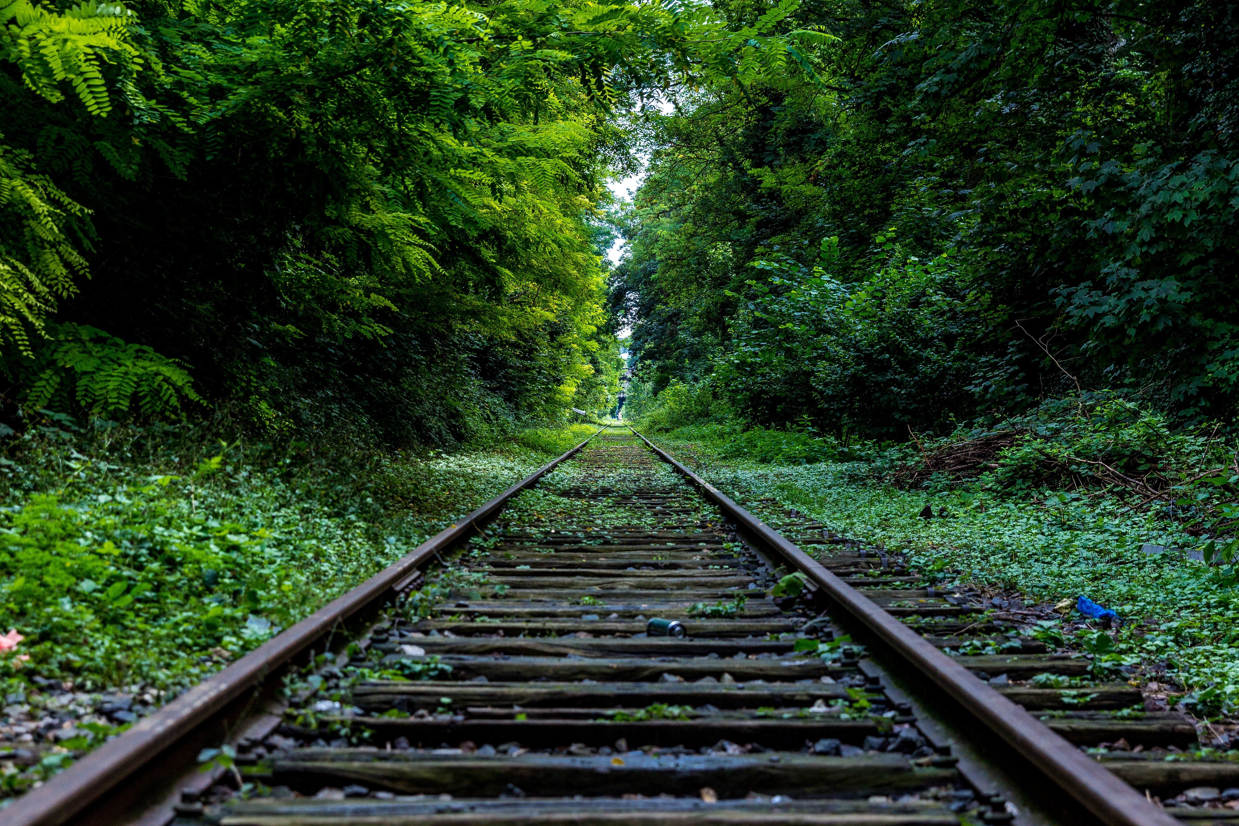 5ec73cd0d0e31_abandoned-forest-industry-