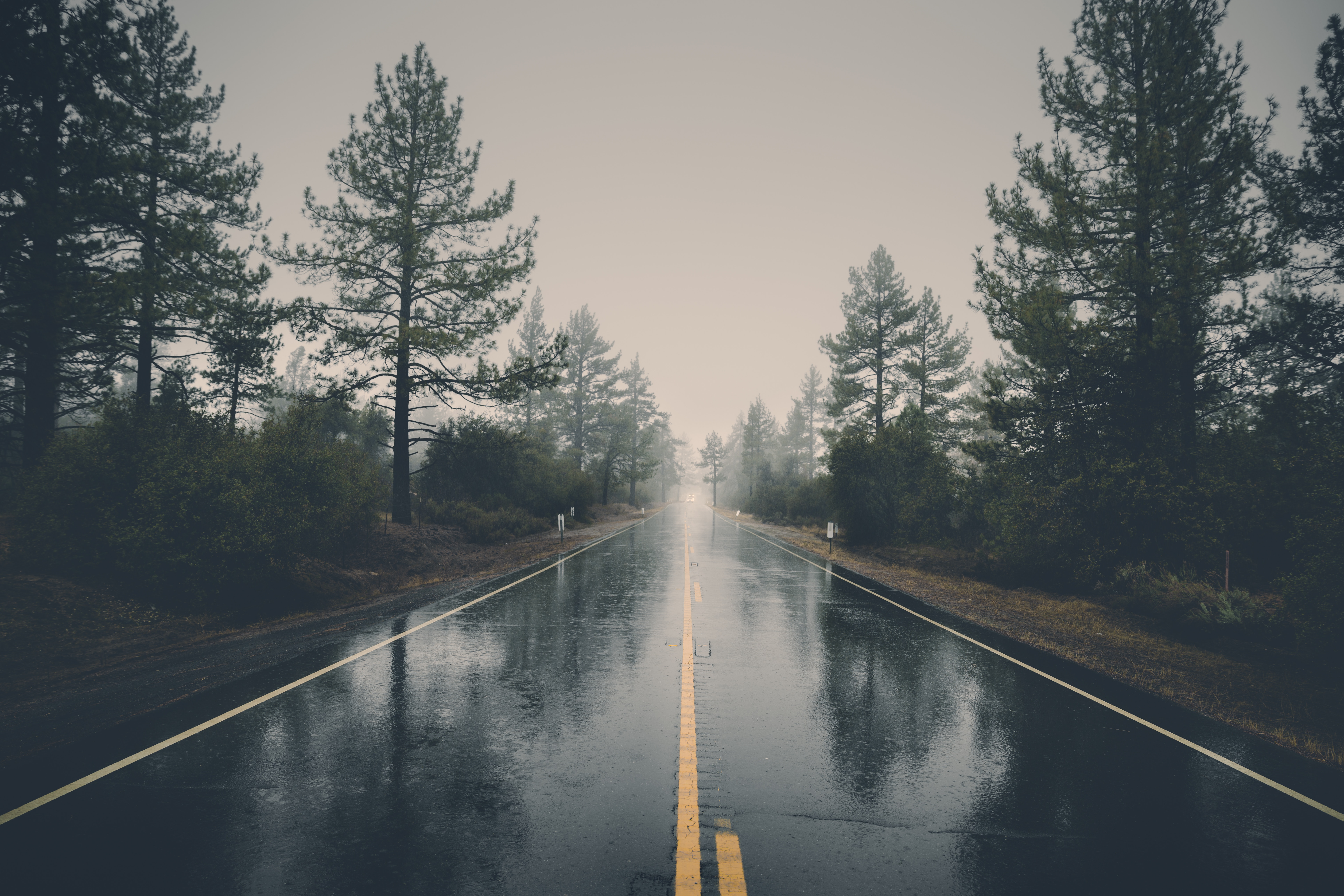 5ec83e1d0980c_road-landscape-nature-forest-39811