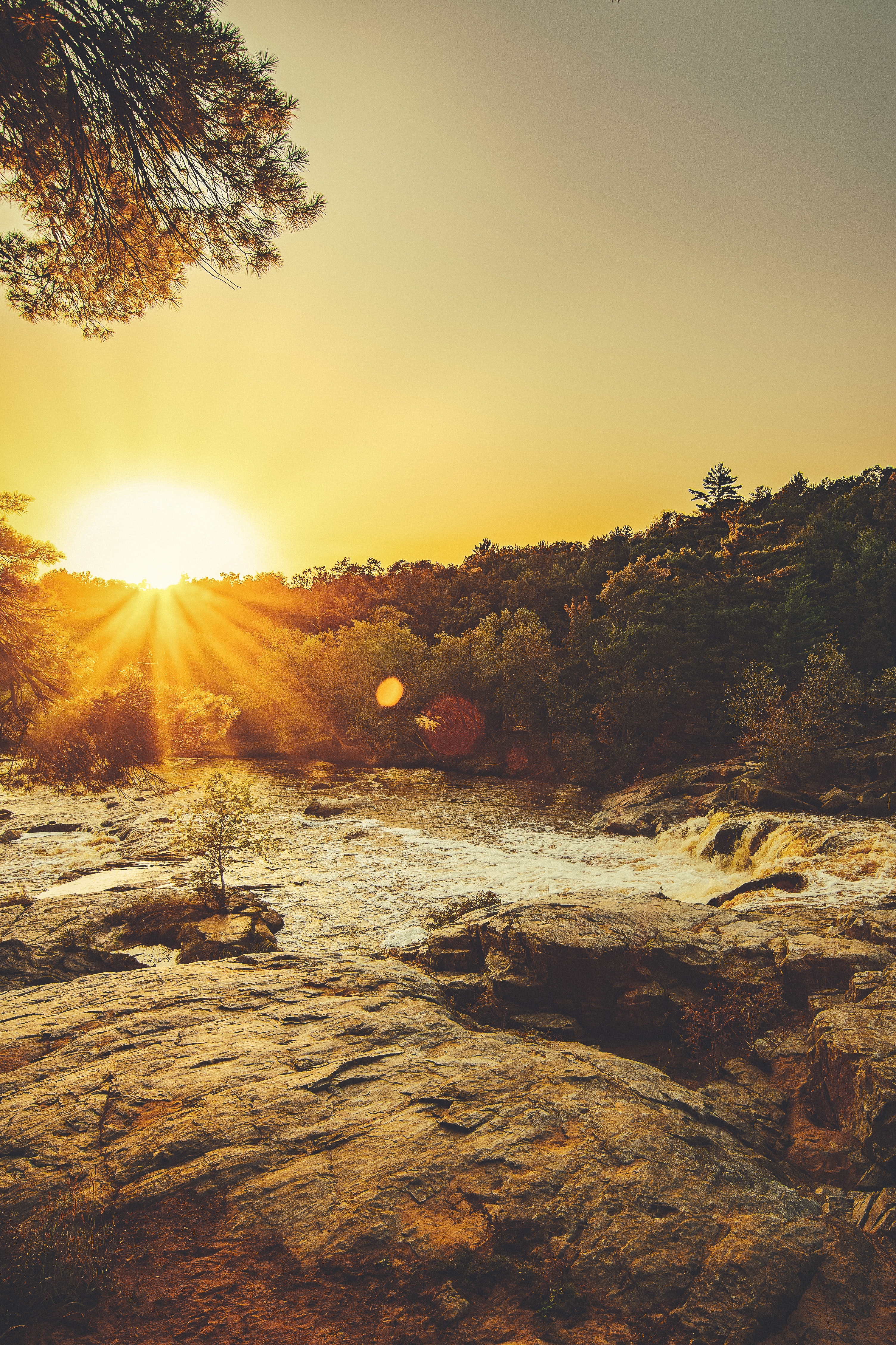 5ec8649a6c560_sunray-through-trees-1420440