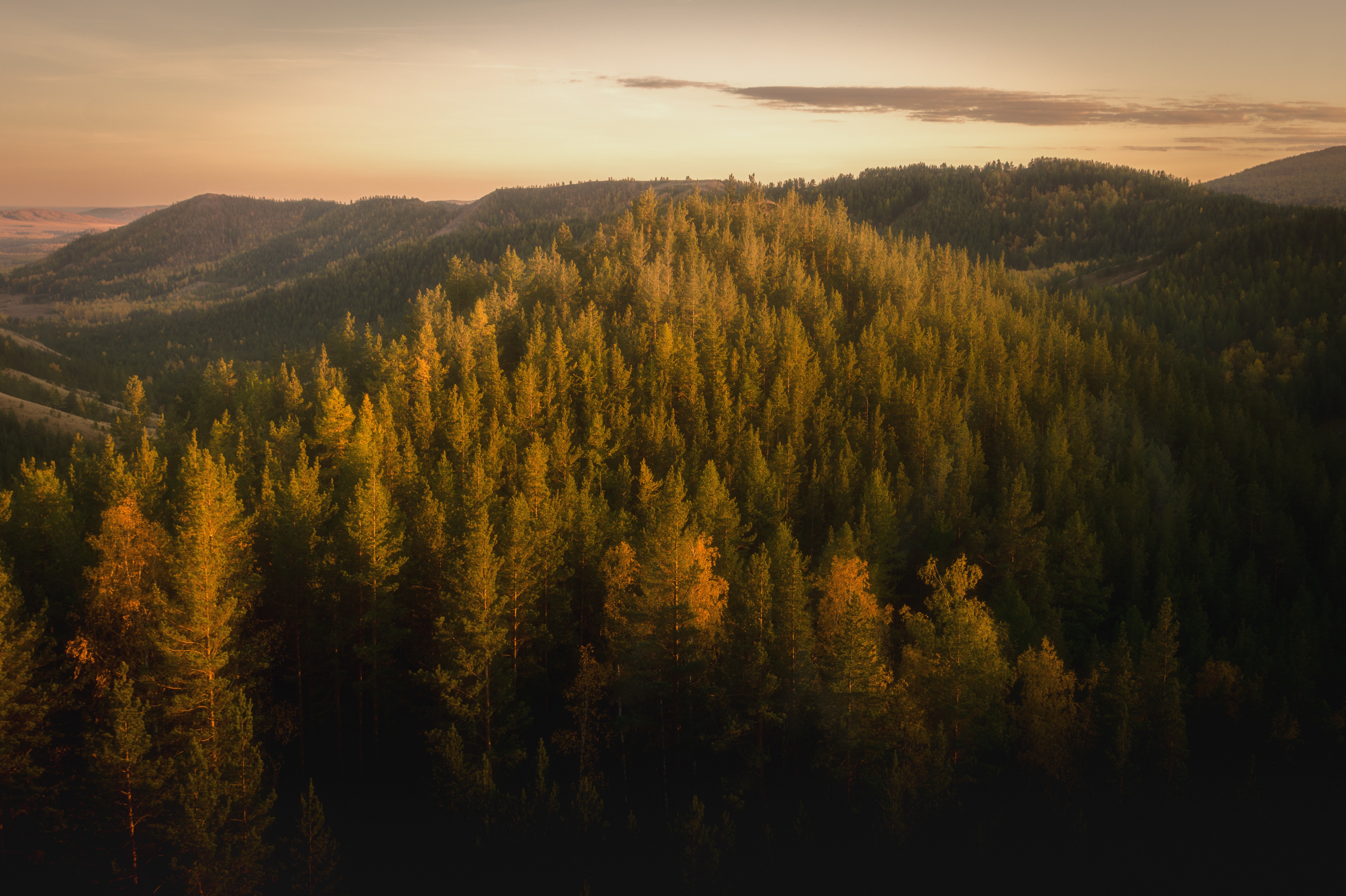 5ec86a0ee026a_daniil-silantev-hjodrlxv55e-unsplash